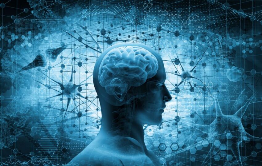 Mindbody