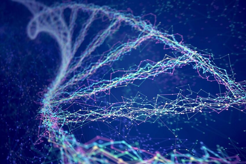 Genome