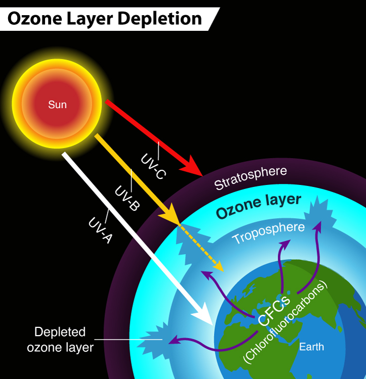 Ozone hole and UV