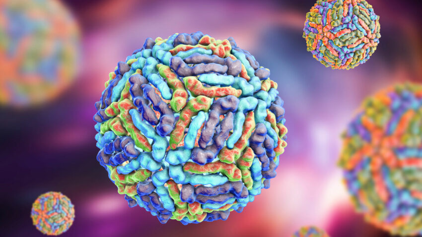 West Nile virus