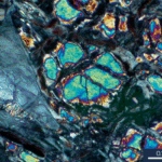 Natural hydrogen resource accumulation in the continental crust
