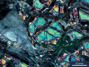 Natural hydrogen resource accumulation in the continental crust